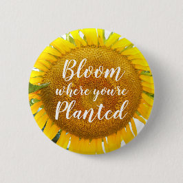 Bloom där du är planerad Gult Solros Knapp