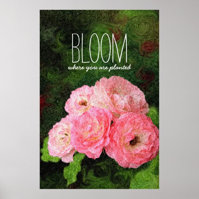Bloom där du är planerad inspiration av Rosa ros Poster (Framsidan)