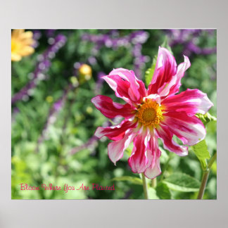 Bloom där du är planerad Poster