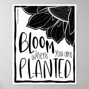 Bloom där du är planerad - Solrosartikel citat Poster
