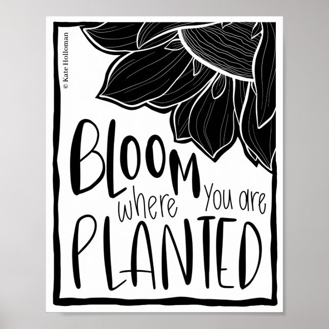 Bloom där du är planerad - Solrosartikel citat Poster (Framsidan)