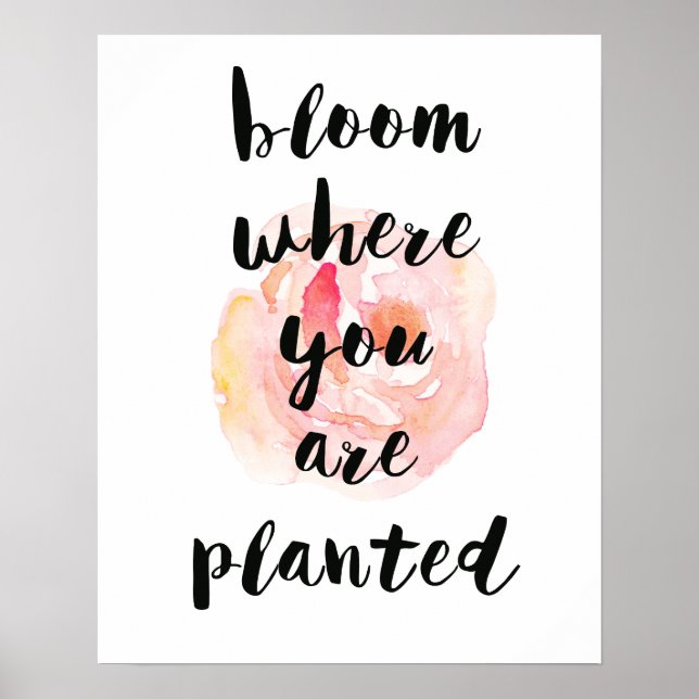 Bloom där du är planerad vattenfärg Ro Poster (Framsidan)