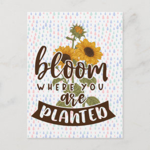 Bloom där du är planerad vykort