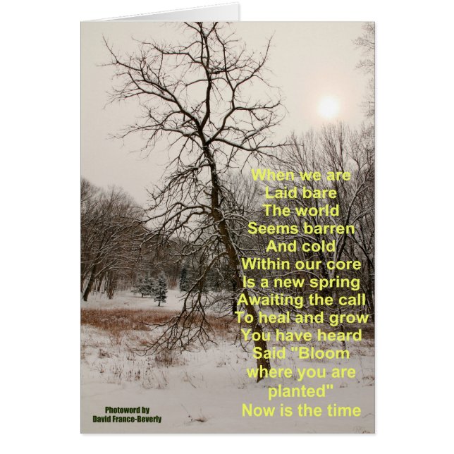 Bloom där du är planterad hälsningskort (Framsidan)