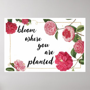 Bloom där du är planterad poster