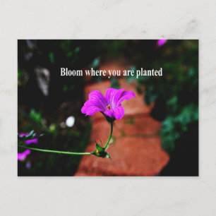 Bloom där du är planterad vykort