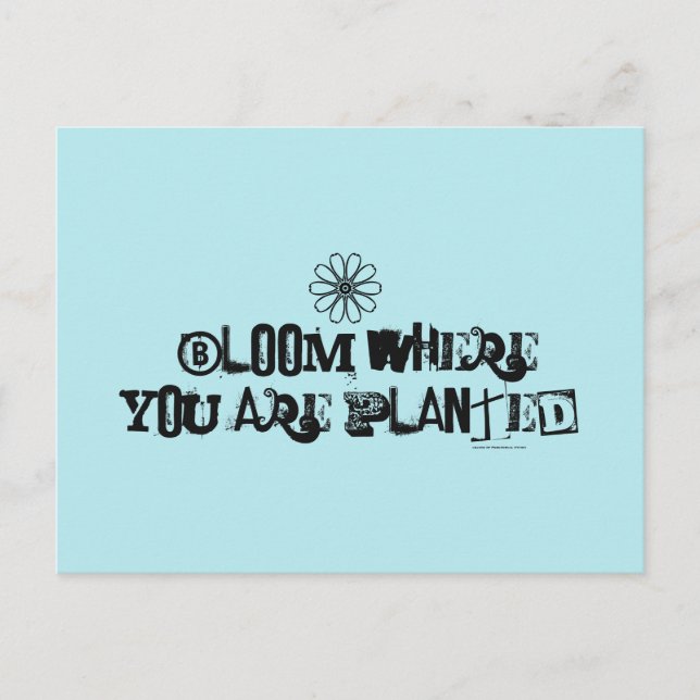 Bloom där du är planterad. vykort (Framsida)