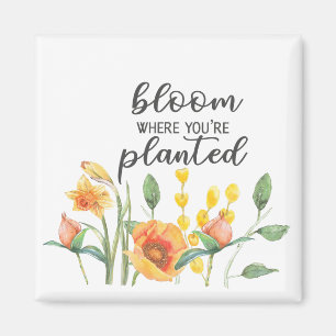 Bloom där du planterar magnet