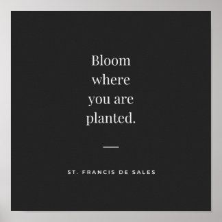 Bloom där du planterar St Francis de Sales Poster