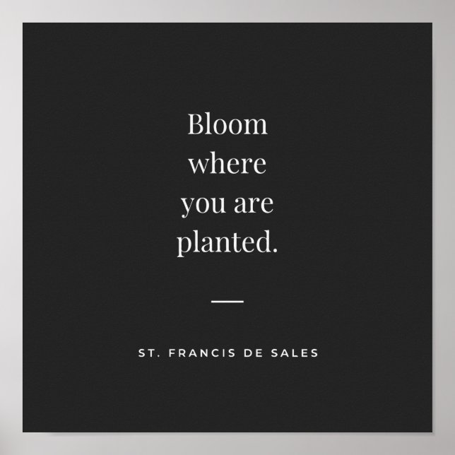 Bloom där du planterar St Francis de Sales Poster (Framsidan)