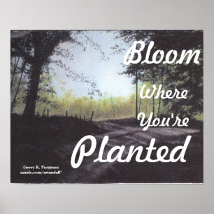 "BLOOM DÄR DU PLANTERAS" POSTER