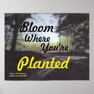 "BLOOM DÄR DU PLANTERAS" POSTER