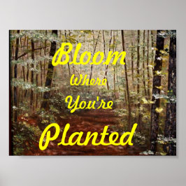 "BLOOM DÄR DU PLANTERAS" POSTER