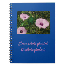 Bloom där planerad fotopatbook med Spiral används Anteckningsbok