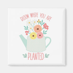 Bloom där planerad magnet