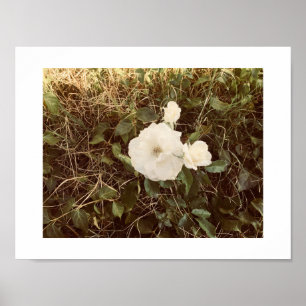 Bloom Färg-fotografi Poster