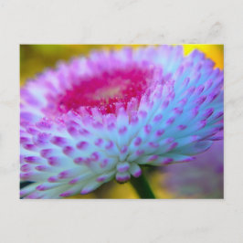 Bloom Flower Vykort