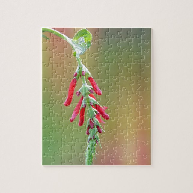 Bloom för ananas pussel (Vertikal)