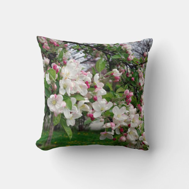 Bloom. för träd för Europa våräpple Kudde (Framsida)