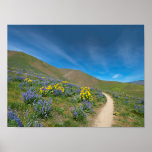 Bloom från Vår vid hög ökningstid Poster