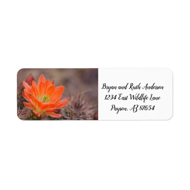 Bloom i blommarna för orangens aktualiteter returadress etikett (Framsidan)