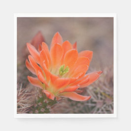 Bloom i Orange Pappersservett