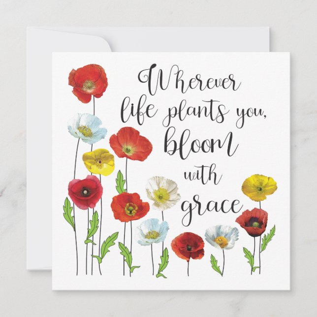 Bloom med nådig poppy-blommor (Framsida)