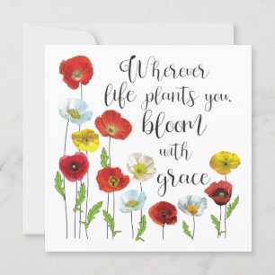 Bloom med nådig poppy-blommor