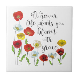 Bloom med nådig poppy-blommor kakelplatta