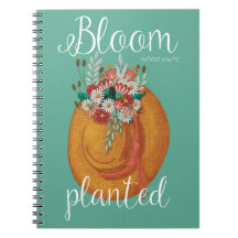 Bloom planterad