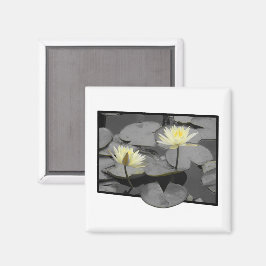 Bloom utanför Ram Magnet