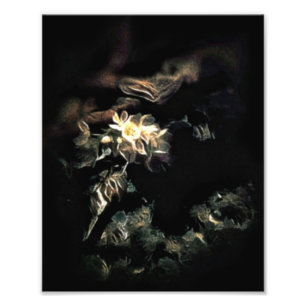 Bloomed Fototryck