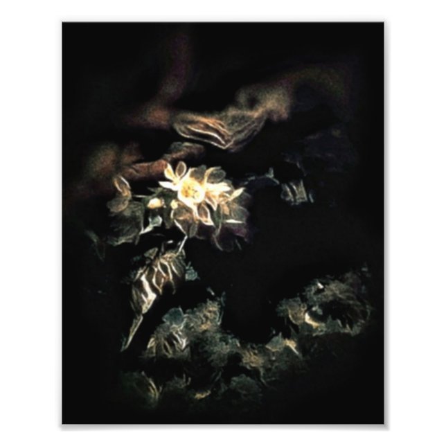Bloomed Fototryck (Framsidan)