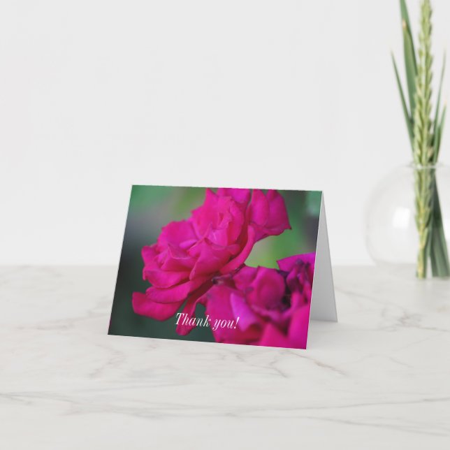 Bloomed Rosa ros Tack Kort (Framsida)