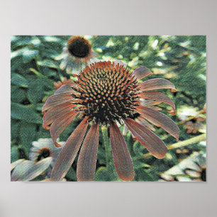 Bloomer från Kärlek Poster