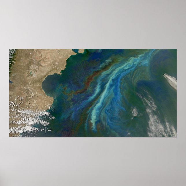 Bloomer i Ocean av Patagonia Poster (Framsidan)