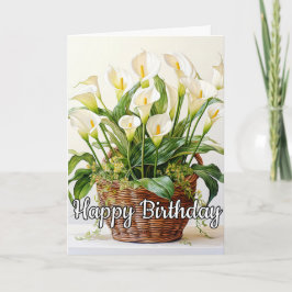 Blooming Calla Lily Flowers Kort