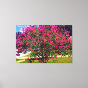 Blooming Crepe Myrtle Träd Canvastryck