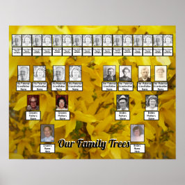 Blooming Forsythia Bush Photo Two Family Träd Poster