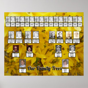 Blooming Forsythia Bush Photo Two Family Träd Poster