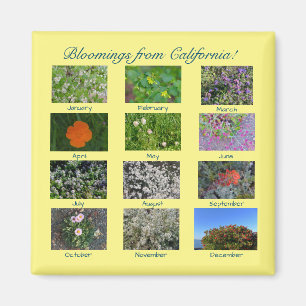 Blooming från Kalifornien! Magnet