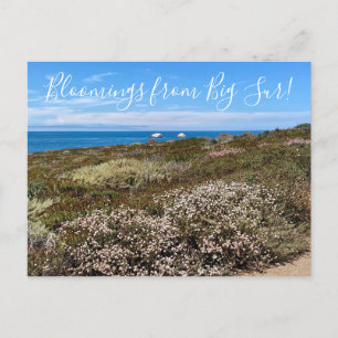 Blooming från Kalifornien: Sea Cliff Buckvete Vykort
