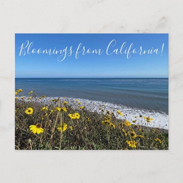 Blooming från Kalifornien! Vykort (Framsida)