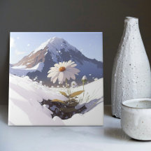 Blooming in Adversity A SnowMountain Daisy