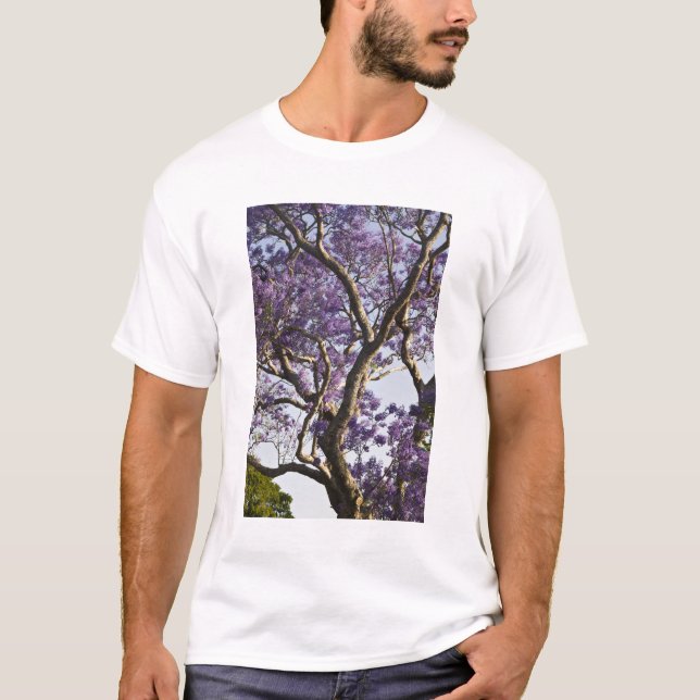 Blooming Jacaranda Träd i New Farm Park T-shirt (Framsida)