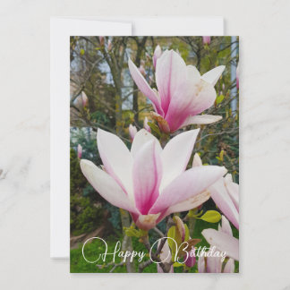 Blooming large pink magnolia flowers. inbjudningar