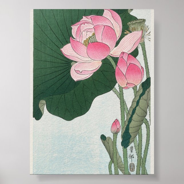 Blooming Lotus Flowers by Ohara Koson (1920-1930) Poster (Framsidan)