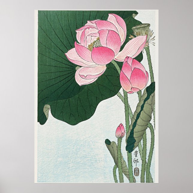Blooming Lotus Flowers by Ohara Koson Poster (Framsidan)