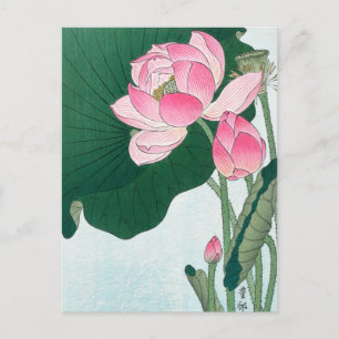 Blooming Lotus Flowers, Koson, japansk blomkonst Vykort