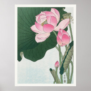 Blooming Lotus Flowers Ohara Koson Japansk konst Poster